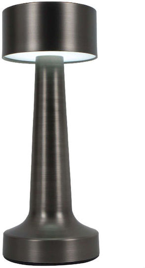 Inlight 3033 Dekorative Lampe Gray