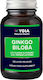 Ygia Ginkgo Biloba 5000mg 60 Herbal Capsules