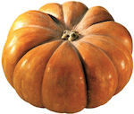 Pumpkin Moscata di Provenza | 2500 Seeds