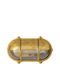 Lightup Wall-Mounted Outdoor Turtle Light E27 IP64
