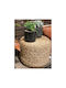 Stool For Living Room Wicker Hyacinth Beige 40x40x30cm
