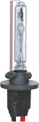 3GSound Lampe H7 Xenon Naturweiß