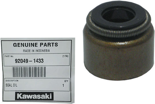 Kawasaki Ventile Μοτοσυκλέτας 117-04-05500
