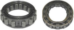 IQ Tech KAZE-R 115 Ansamblu motor de pornire motocicletă pentru Modenas Kriss II 338-04-35200 IQ Tech KAZE-R 115 Ansamblu motor de pornire motocicletă pentru Modenas Kriss II 338-04-35200