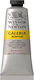 Winsor & Newton Galeria Acrylic Paint Set Pale Umber 60ml 1pcs