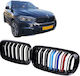 Carner Car Decorative Mask BMW X5 (F15) / X6 (F16) / M4