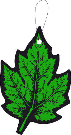Autoline Car Air Freshener Tab Pendand Pine