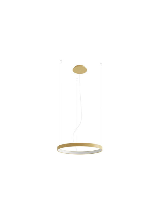 Thoro TH.217 Pendant Light LED with Natural White Light Gold