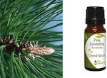 Pine Essential Oil 10ml