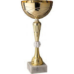 Cupa de sport semi-modernă 11.143G-34cm (11.143G-34cm)