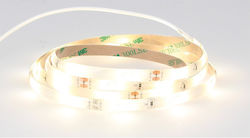 GSC Ταινία LED 12V Θερμό Λευκό 1.2m