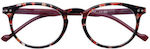 Zippo Reading Glasses +2.00 in Red color 31Z-B18-RED200