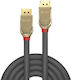 Lindy Cable DisplayPort male - DisplayPort male 5m Μαύρο (36294)