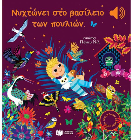 Νυχτώνει στο Βασίλειο των Πουλιών