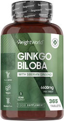 WeightWorld Ginkgo Biloba 6600mg 365 ταμπλέτες WeightWorld Ginkgo Biloba 6600mg 365 ταμπλέτες