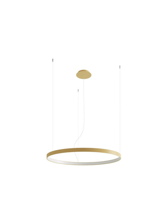 Thoro TH.181 Pendant Light LED with Natural White Light Gold