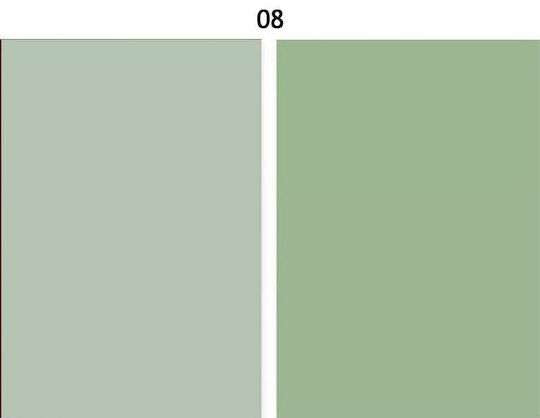 IRiSfot Irisfot Doppelseitig ΒΟM08 Fotohintergrund PVC 60x60cm Grün