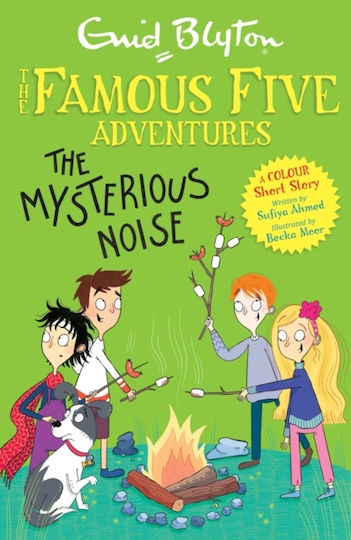 The Famous Five Colour Short Stories, Das geheimnisvolle Geräusch