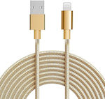 Y33 Geflochten USB-A zu Lightning Kabel Gold 1.64m