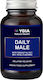 Ygia Daily Male Aνδρική Σεξουαλική Υγεία Tongkat Ali Συμπλήρωμα για Λίμπιντο & Ενίσχυση της Τεστοστερόνης 60 φυτικές κάψουλες