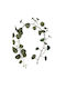 Decorative Garland Ficus Lyrata 168cm Supergreens