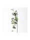 Decorative Garland Ficus 120cm Supergreens