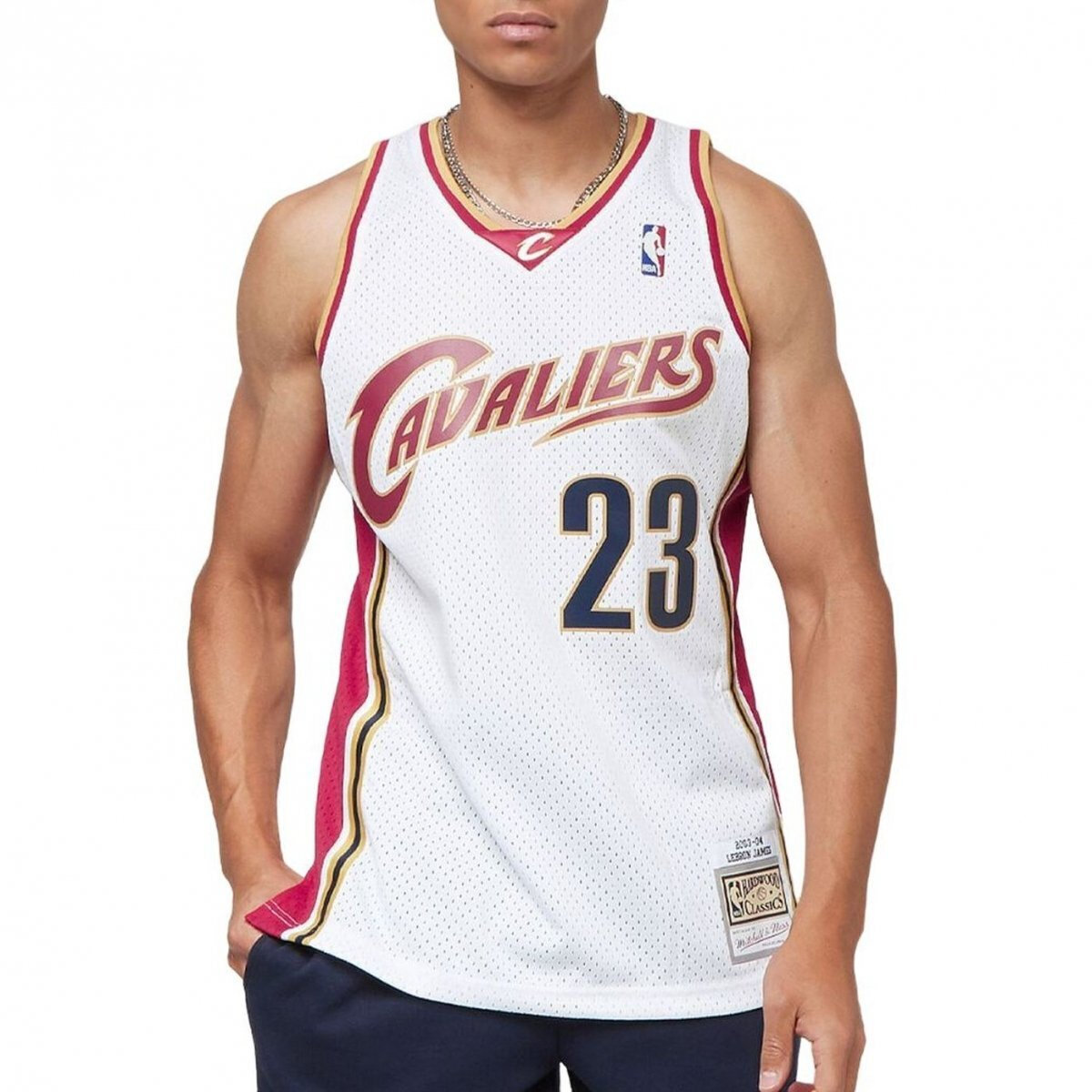 lebron james mitchell and ness