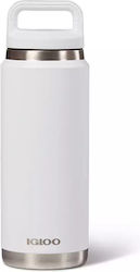 Igloo Stainless Steel Thermos Bottle 770ml White