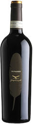 Giuseppe Campagnola Red Dry 750ml Giuseppe Campagnola Red Dry 750ml