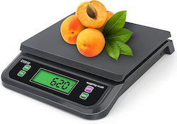 DT510 Bench Scale 30kg / 1g