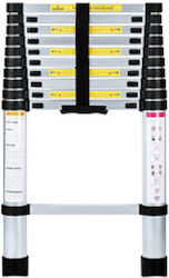 Prostep PS13 Prostep PS13