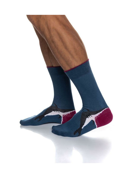 Inizio Men's Socks Blue