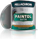 Pellachrom Βερνικόχρωμα Paintol 0.75lt Λευκό Σατινέ
