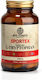 Bio Tonics Sportex L-Tryptophan 560мг 60 Капсули