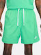 Nike Essentials Men's Swimwear Shorts Green