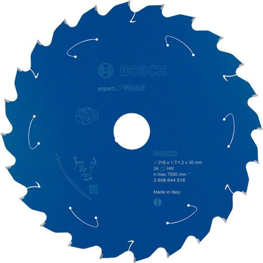 Bosch Expert Wood Cutting Disc Wood Hole Diameter 216mm 1pcs