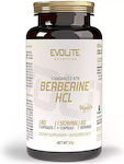 Evolite Berberine HCL 60 Mützen