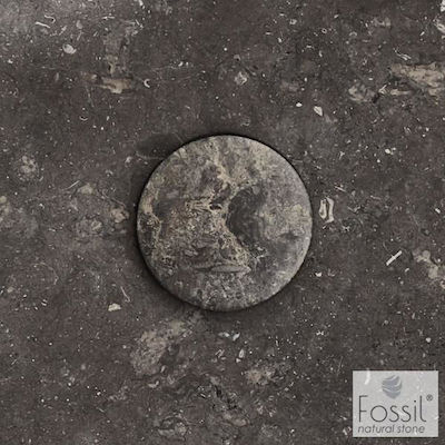 Fossil Cap Sink Gray