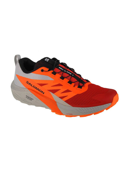 Salomon Sense Ride 5 Мъжки Спортни обувки Плани...