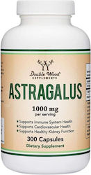 Double Wood Astragalus 500mg 180 κάψουλες Double Wood Astragalus 500mg 180 κάψουλες