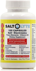 SaltStick Saltolyte 100x1 capsule