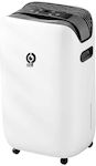 Red Point Dehumidifier 12lt