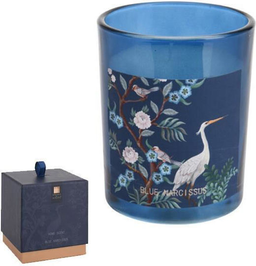 Next Aromatisches Kerze im Gefäß mit Duft Blue Narcissus 200g