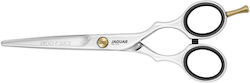 Jaguar Solingen Hair Cutting Trimming Scissor 6"