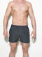 Men's Swimwear Shorts Gray