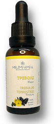 MeliMpampa Tincture Tribulus Terrestris Tincture 30ml