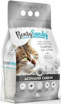 Bentysandy Katzenstreu 10Es