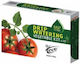Teco Automatic Irrigation Drip System for Flower Pots