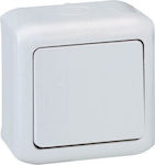 Geyer Complete Wall Push Bell Button with Frame Gray 3615GH