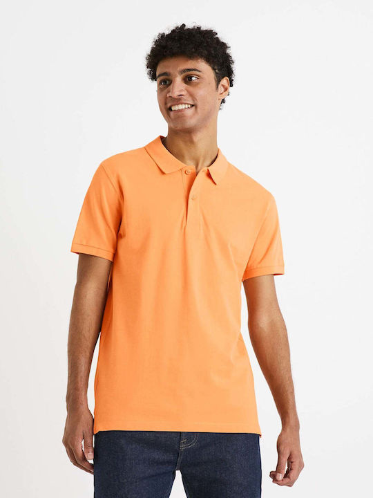 Celio